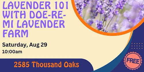 Lavender 101: Growing, Harvesting & Enjoying Lavender