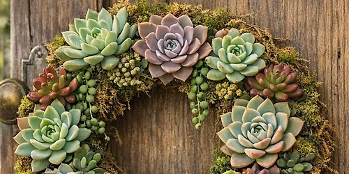 Living Succulent Wreath