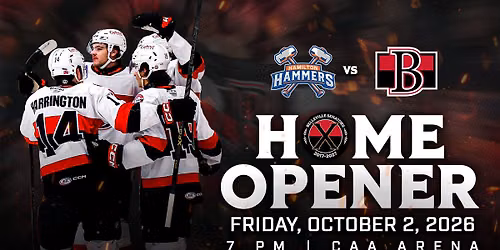 Belleville Senators at Hamilton Hammers at TD Coliseum