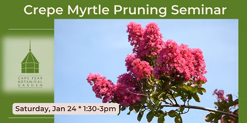 Crepe Myrtle Pruning Seminar at the Garden