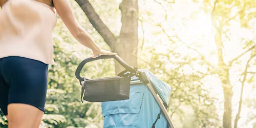 The Unwinding Trail Walk at George LeStrange Preserve