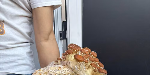 Building Bridges Garden Club: Growing Mushrooms Indoors
