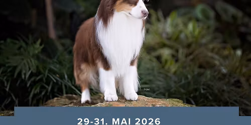 NMASK rasespesial + noen gr 1 raser