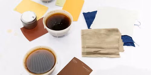 Coffee as Color, Texture, and Story - A Sensory Tasting Experience