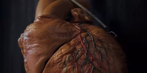 Spring \u201826 ArtScene \u2014 You Know It\u2019ll Be Weird!