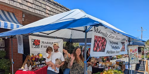 Farm Cat Marmalade in Palo Alto with Mariquita Farm