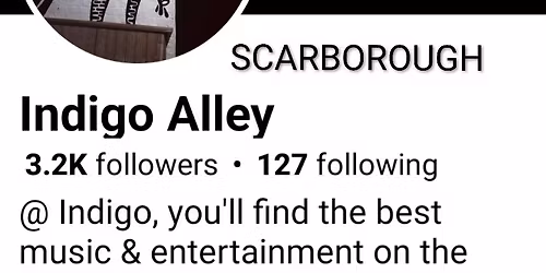 INDIGO ALLEY A DIFFERENT KIND OF MADNESS with TanGentle ViBes on the MADNESS at Scarborough Eve