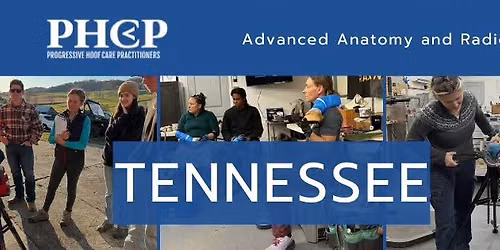 Advanced Anatomy and Radiographs \u2013 Tennessee