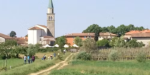 PRIMA-VERA MARCIA 2026