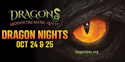 Dragon Nights