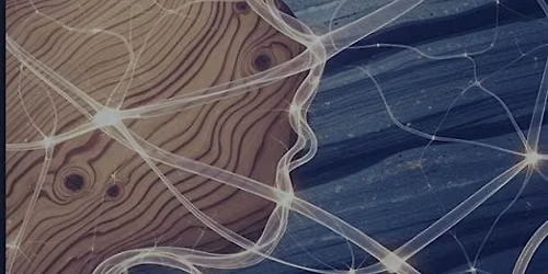 Restorative Justice & Neurodivergence
