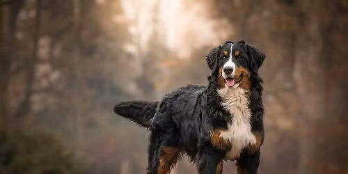 2nd Tuesday Group Class