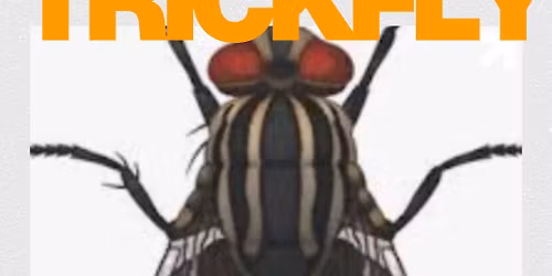 TrickFly @ Jack Brown's KDH