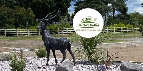 Party Nights at Linda's Farm