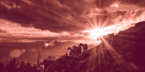 Johann Sebastian Bach: Juloratoriet del 1\u20133 och 6