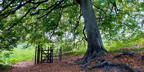 Link to Hope Packing Day