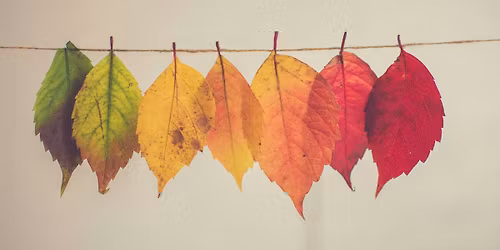 Fall Victim Law Gathering