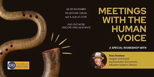 Meetings with the Human Voice