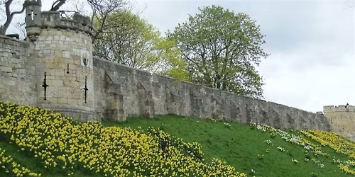 Discovering York's City Walls
