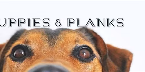 Puppies and Planks class in studio!