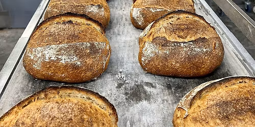 Bread Workshop