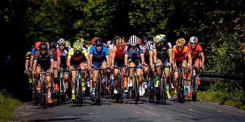 67 Ma\u0142y Wy\u015bcig Pokoju