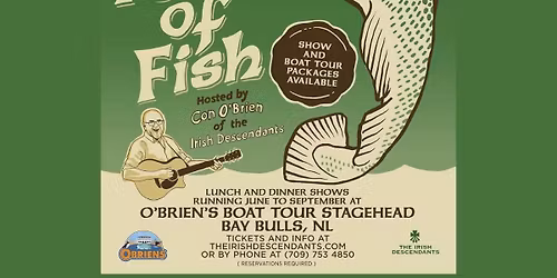 The Irish Descendants