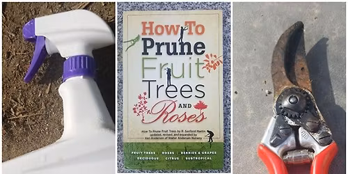 POWAY: Winter Fruit Tree Care with John Clements