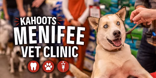 Low Stress Vet Clinic & Teeth Cleaning