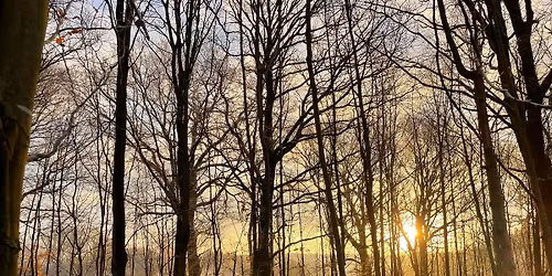 Et kreativt frirum for kvinder \ud83c\udf3f