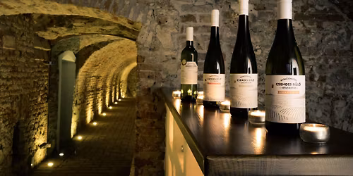 Forradalom & Bor \u2013 1848 emberi t\u00f6rt\u00e9netei Katona Csab\u00e1val