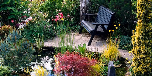 Designing a Healing Garden