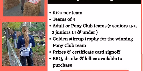 Pony Club Quiz
