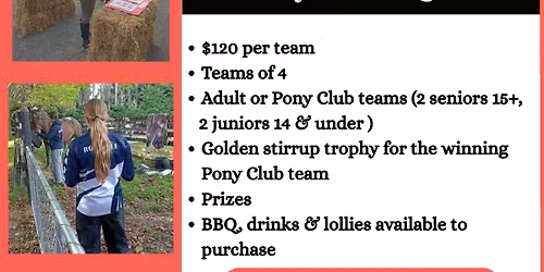 Pony Club Quiz