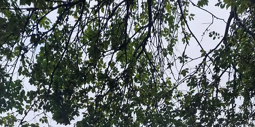 Deck The Hall at Halifax Minster