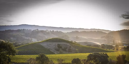 Napa County Pest and Disease Workshop: Field Rodent Control