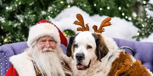 Retrata tu Mascota con Santa