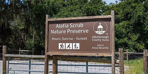 "Natives in Focus" Plant Walk: Alafia Scrub Preserve