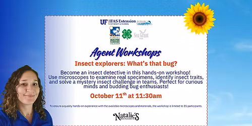 Insect explorers 101: What\u2019s that bug?