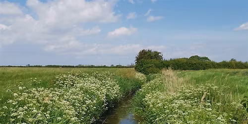Avon Wildlife Trust Annual General Meeting 2025