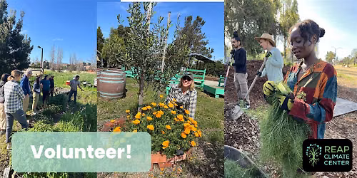 Sunday Volunteer Workday