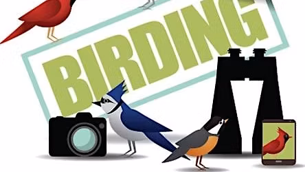 Bird Nerd Group