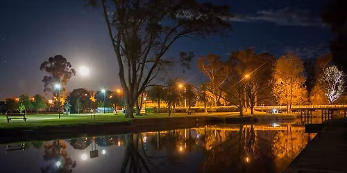 French Brocante Marche ( outdoor Antique Market )