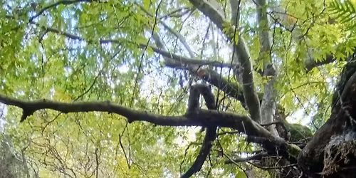 \ud83d\udca2 \u0391\u03a1\u039a\u0391\u0394\u0399\u0391 \u03a0\u03b1\u03bb\u03b1\u03b9\u03bf\u03c7\u03ce\u03c1\u03b9 \u0395\u03bb\u03ac\u03c4\u03b7\u03c2 \/ \u039c\u03b1\u03cd\u03c1\u03b1 \u039b\u03b9\u03b8\u03ac\u03c1\u03b9\u03b1 \/ \u039d\u03c5\u03bc\u03c6\u03b1\u03c3\u03af\u03b1 \ud83c\uddec\ud83c\uddf7