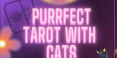 Purrfect Tarot with Purrfect Cats!!!