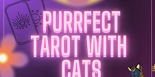 Purrfect Tarot with Purrfect Cats!!!