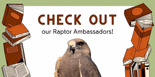 Raptors at the Sandy Library