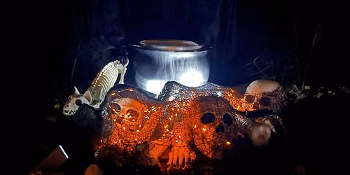 Whispering Woods & Wicked Wonders - A Spirited Forest Bathing Event