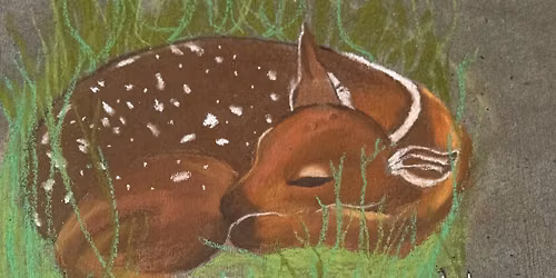 16th Annual Downtown Sidewalk Chalk Art Festival