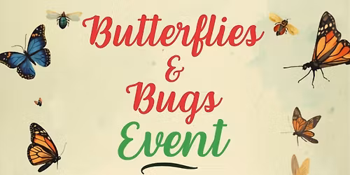 Butterflies and Bugs
